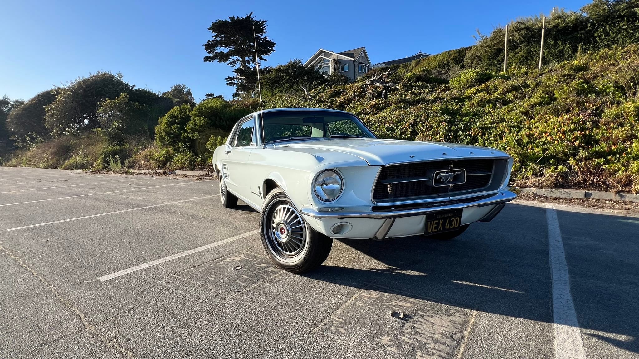 行驶56万公里 1967款福特Mustang现身拍卖平台